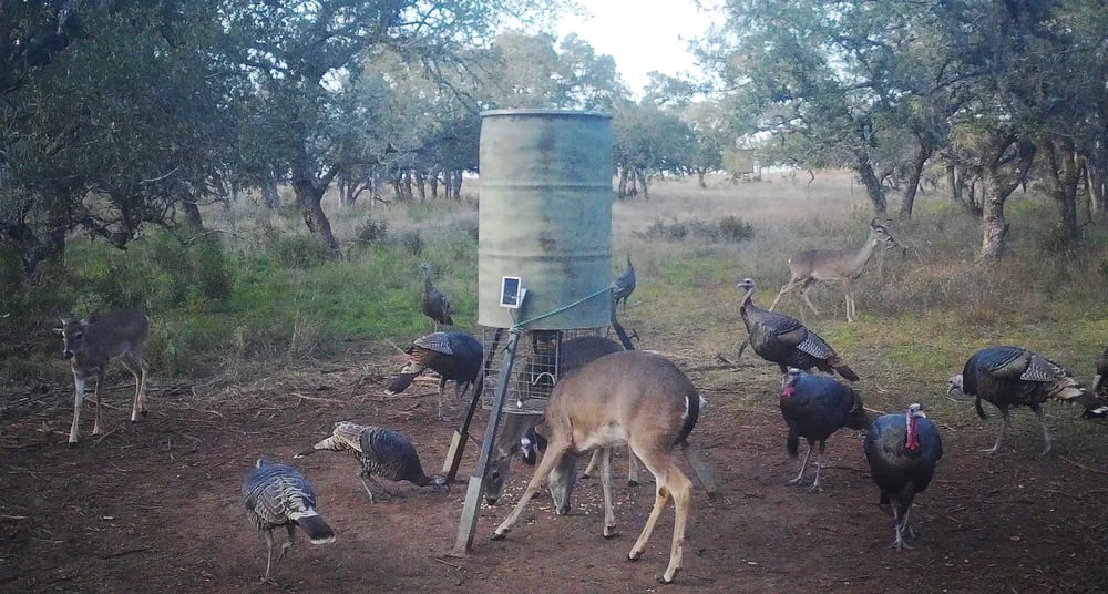 5 Seven 2 Ranch