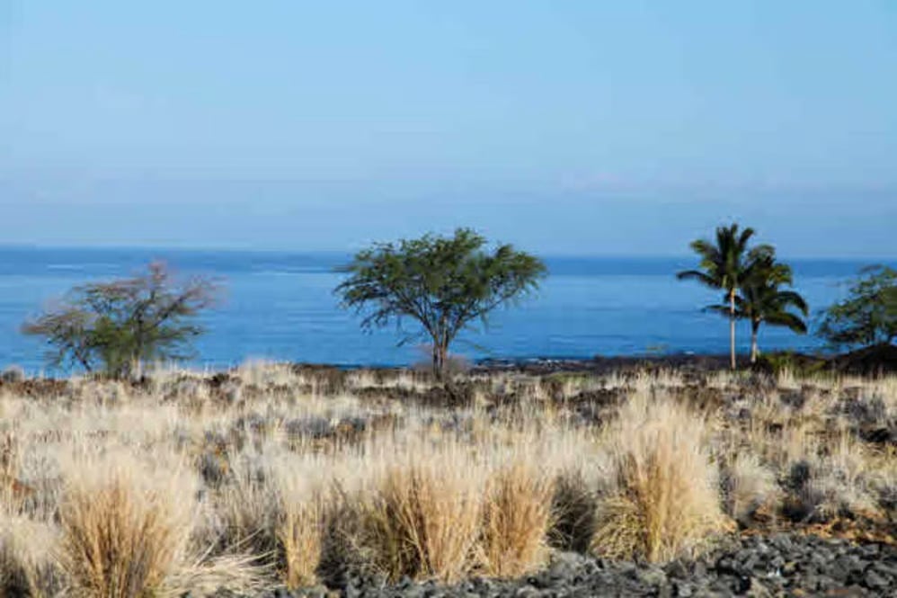 72-3146 MAUU PILI PL