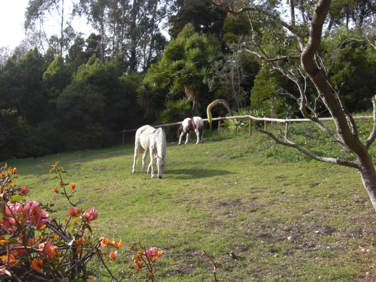 1365 Estrella Dr