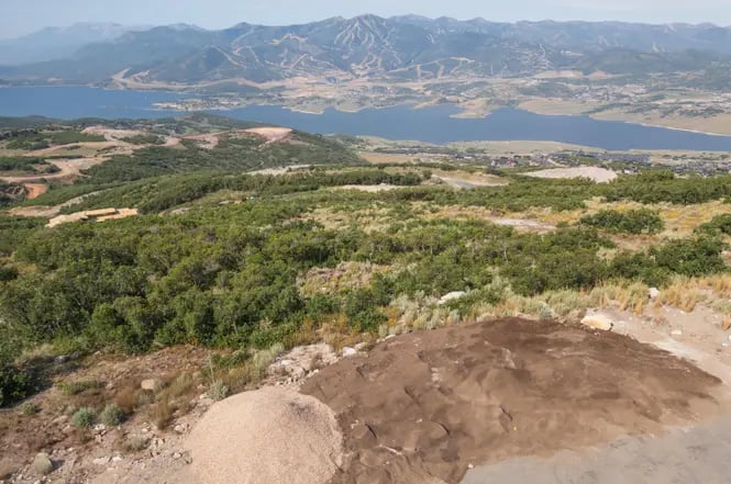 11521 N Penstemon Way