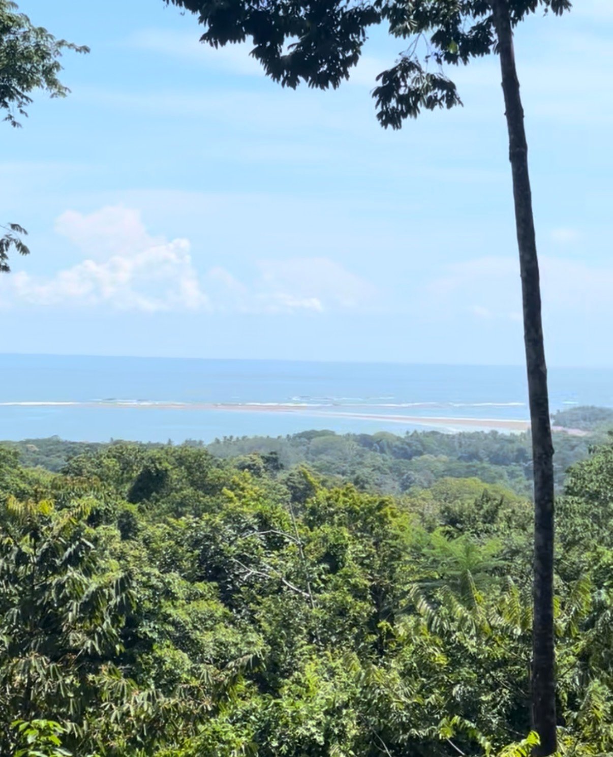 1.7 Acres Ocean View Lot with Producing Cabin in Uvita