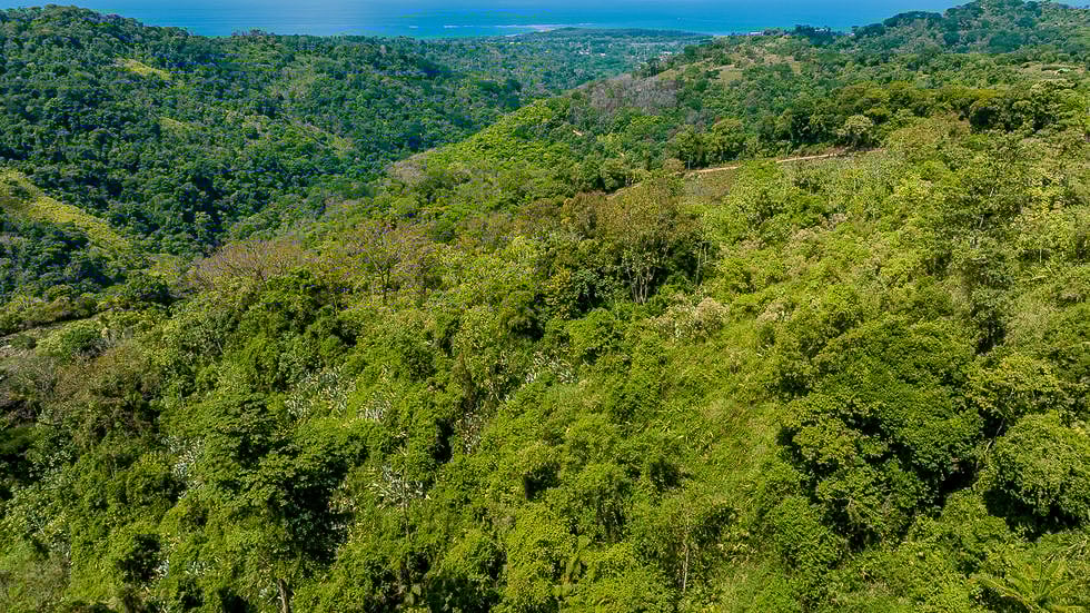 Whale Tail Views Luxury Waterfall Farm