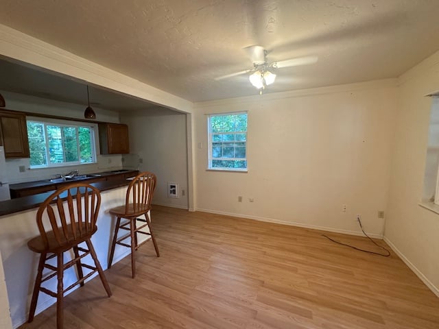 1727 Upper Mann Creek