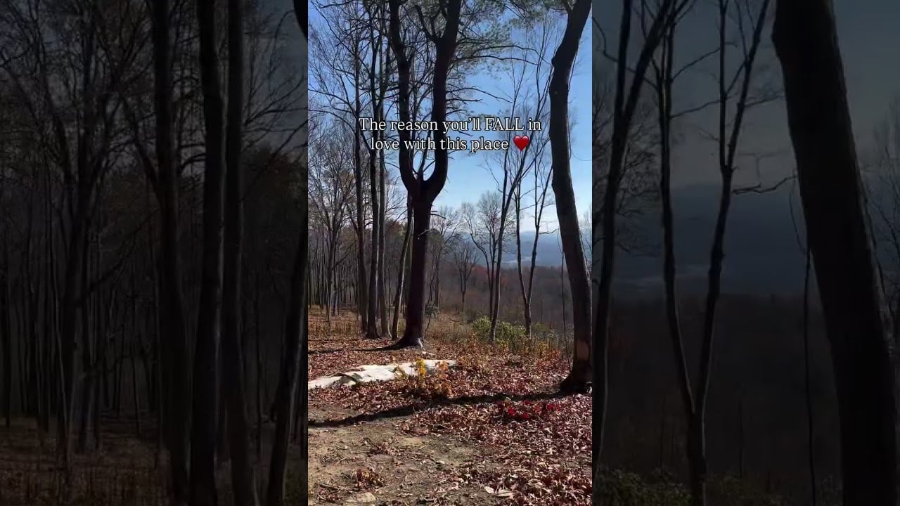 Windows down, mountain air up.The drive home to Sprout never disappoints, especially now 