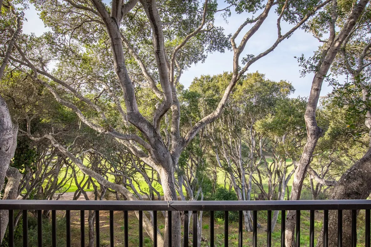 Oak Refuge