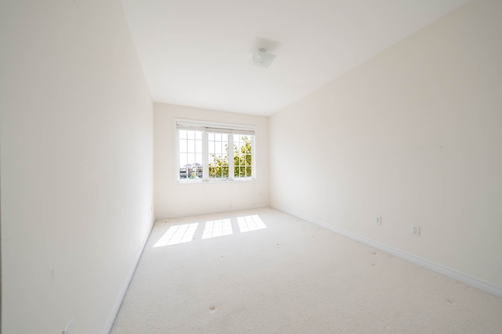 3 Shortreed Grove 