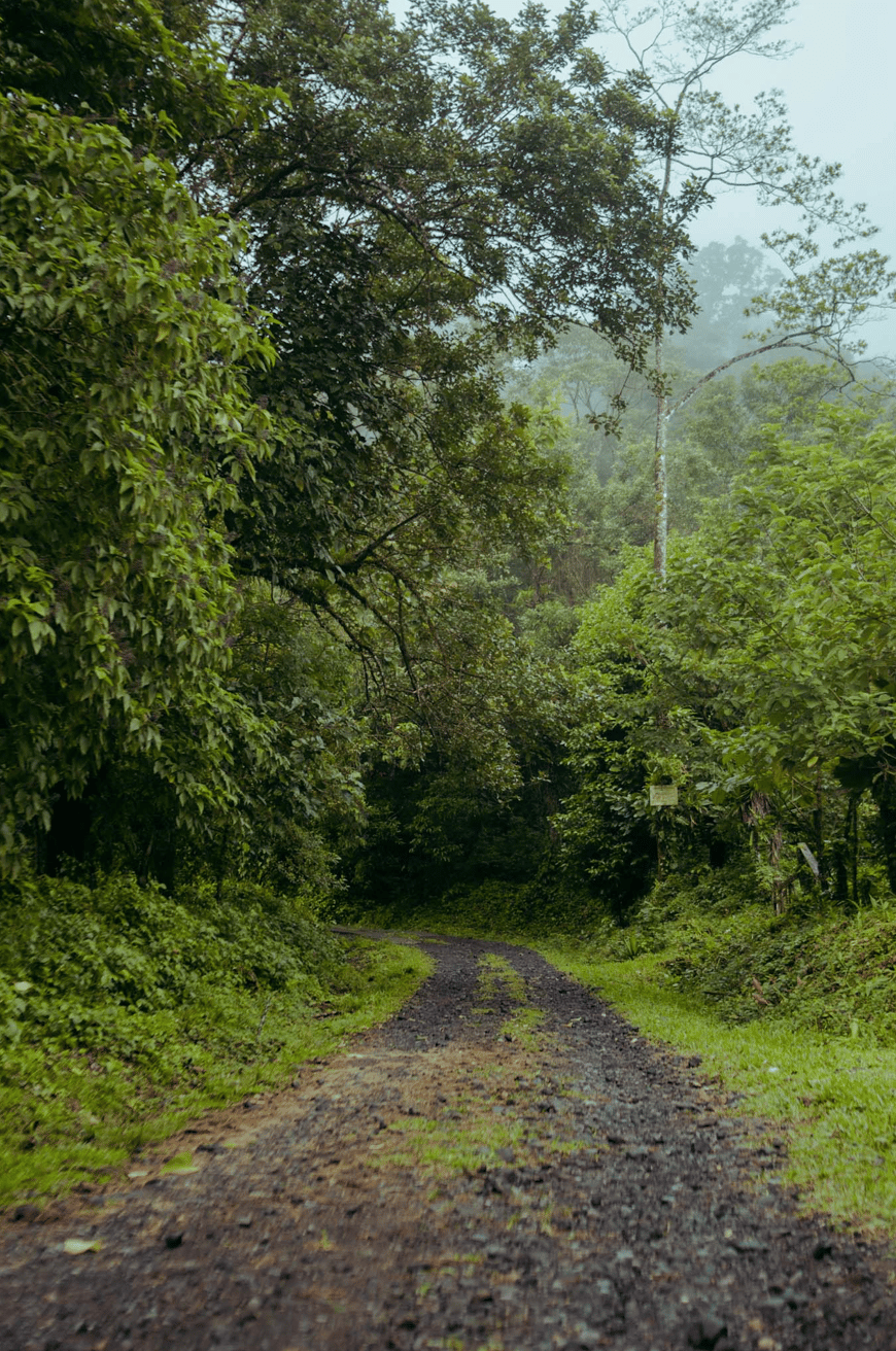 Finca Rincon De La Vieja, 61 Acre Costa Rican Paradise