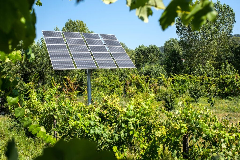 Going Green in the Housing Market