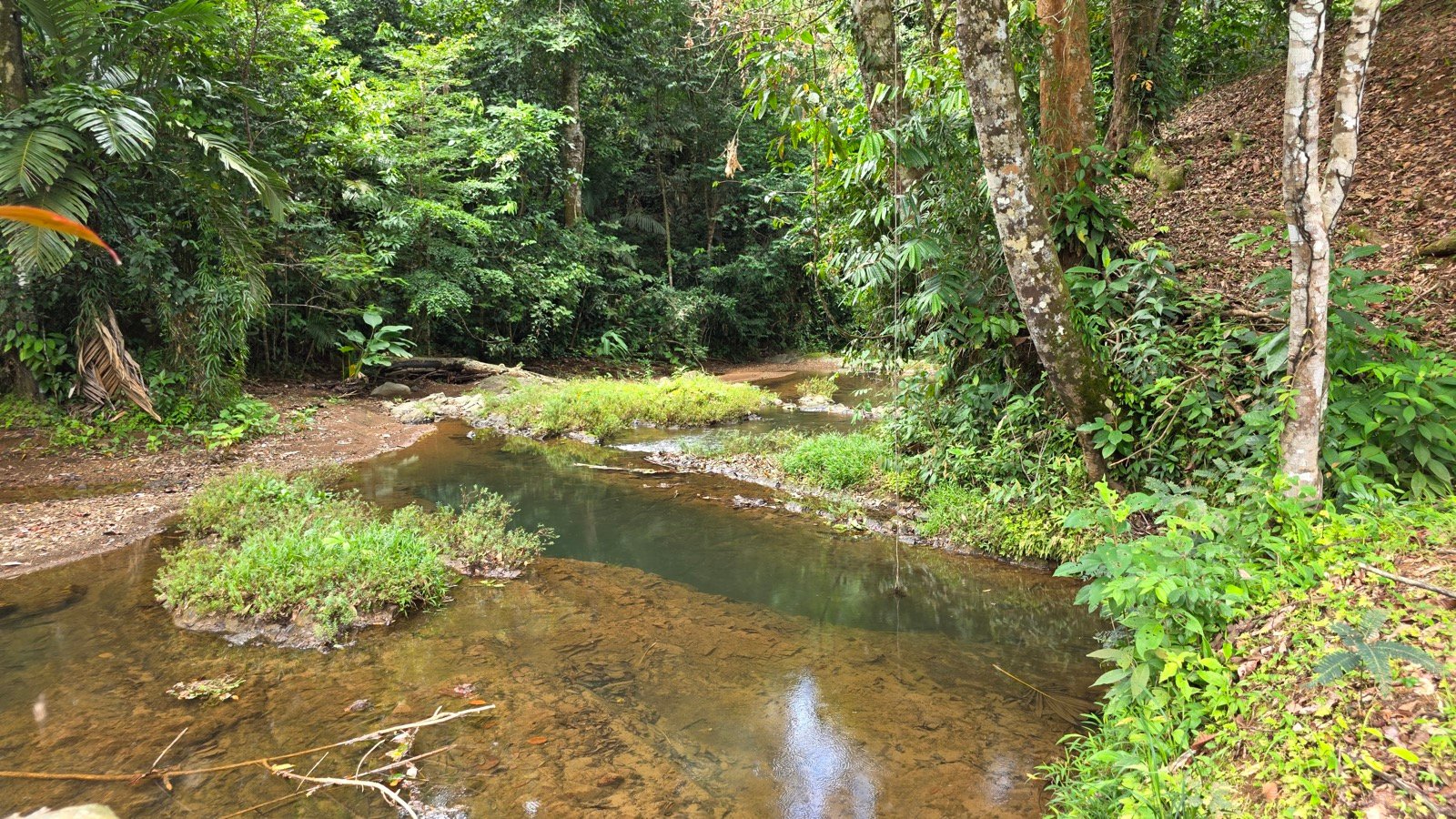 Refreshing Riverfront Retreat in Ojochal