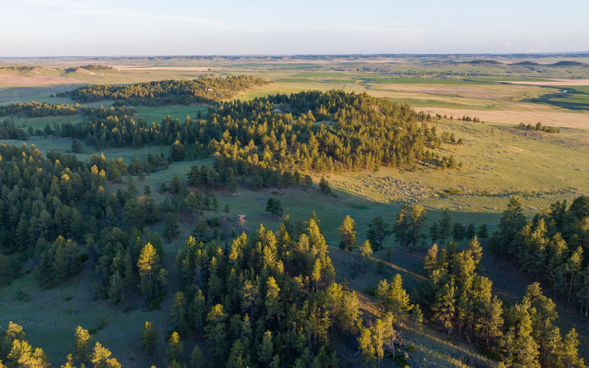 Elk Rich Ranch