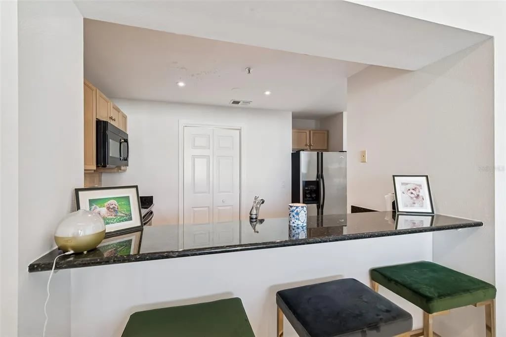 345 Bayshore Blvd, Apt 906