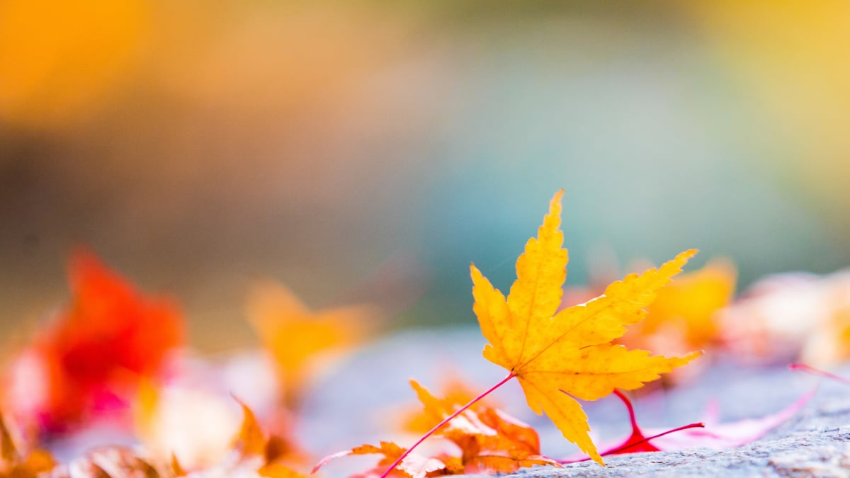 Around the East Bay: October 2026