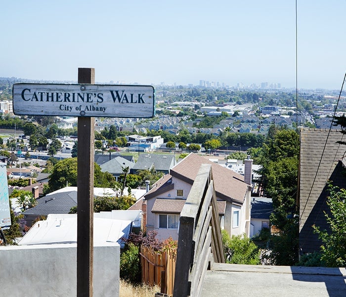 Albany Hill