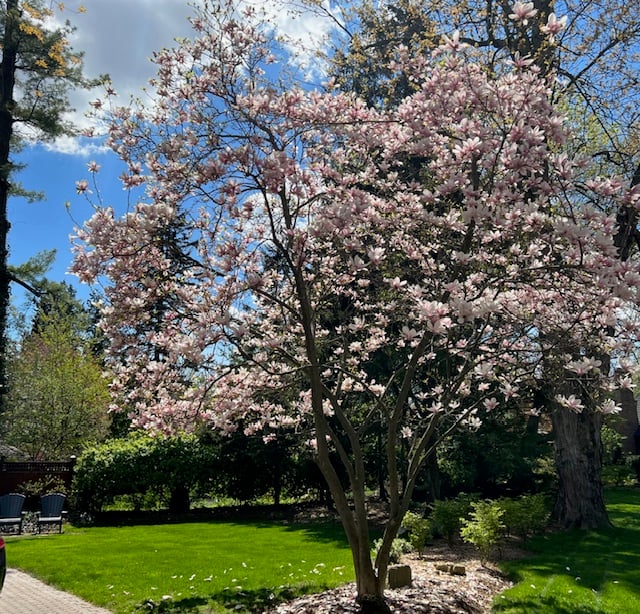 206 Rossmore Boulevard, Burlington