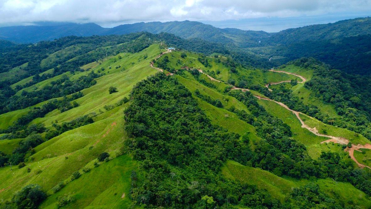 60 Hectares in Platanillo 