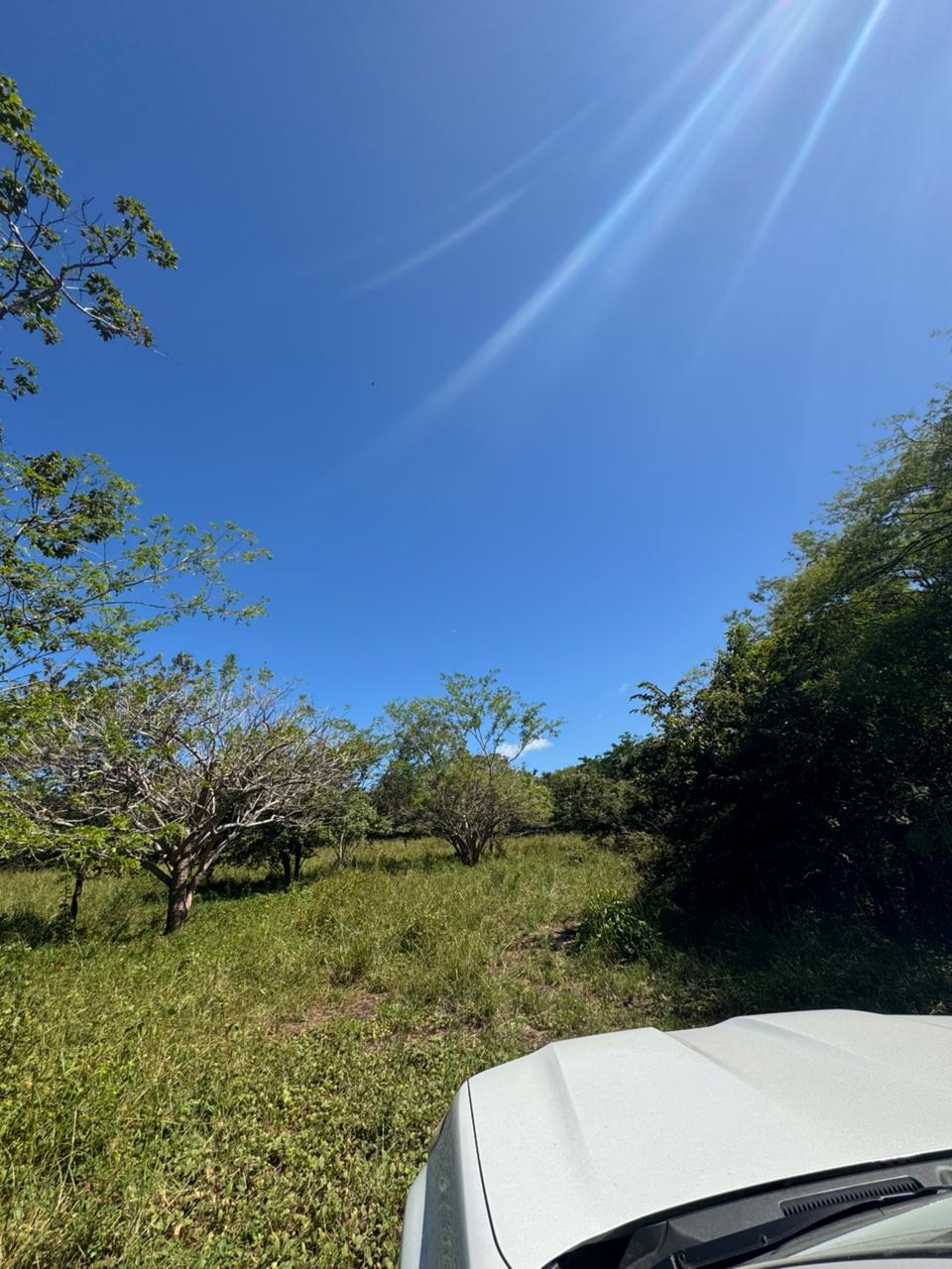 Shambala Estates Lot, Playa Avellanas