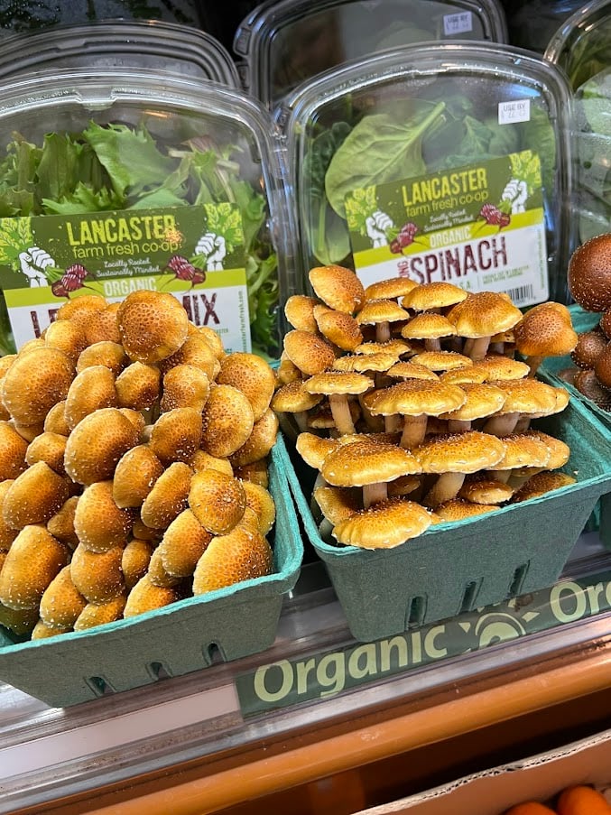 Fresh Mushrooms at Hamilton Mercantile Loudoun County