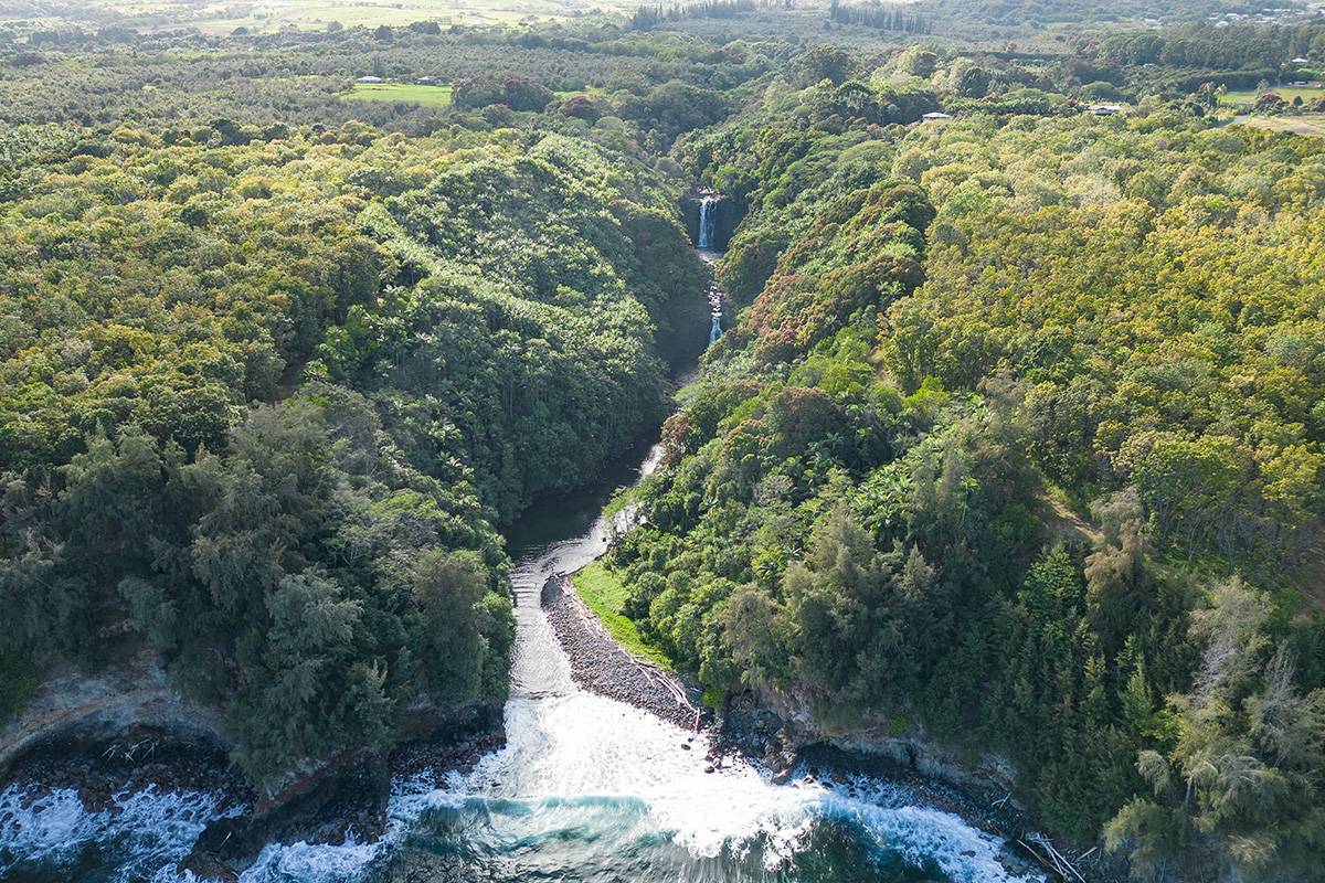 HAMAKUA COAST BIG ISLAND - OCEANFRONT 40 ACRES - WATERFALLS