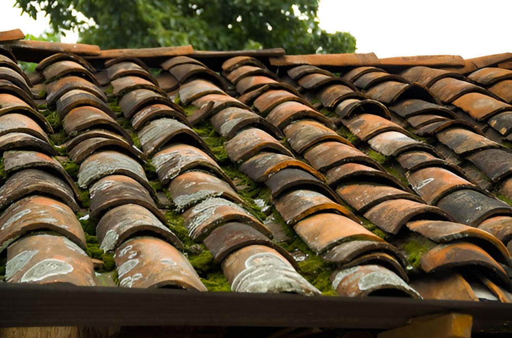Signs Your Roof is in Need of Repair