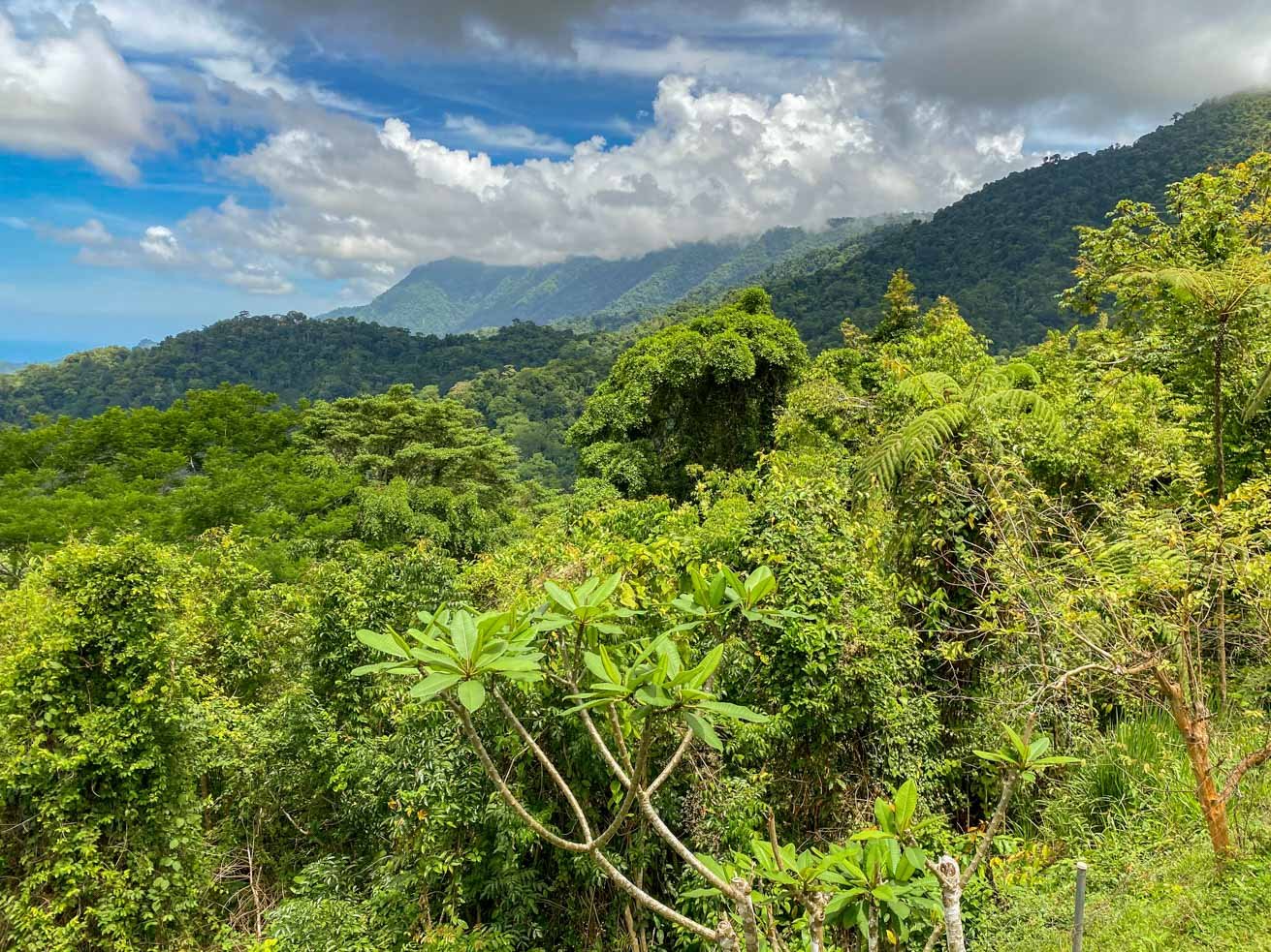 3-Bed Ocean View Home Near Ojochal, Costa Rica | 2.75 Acre Jungle Property