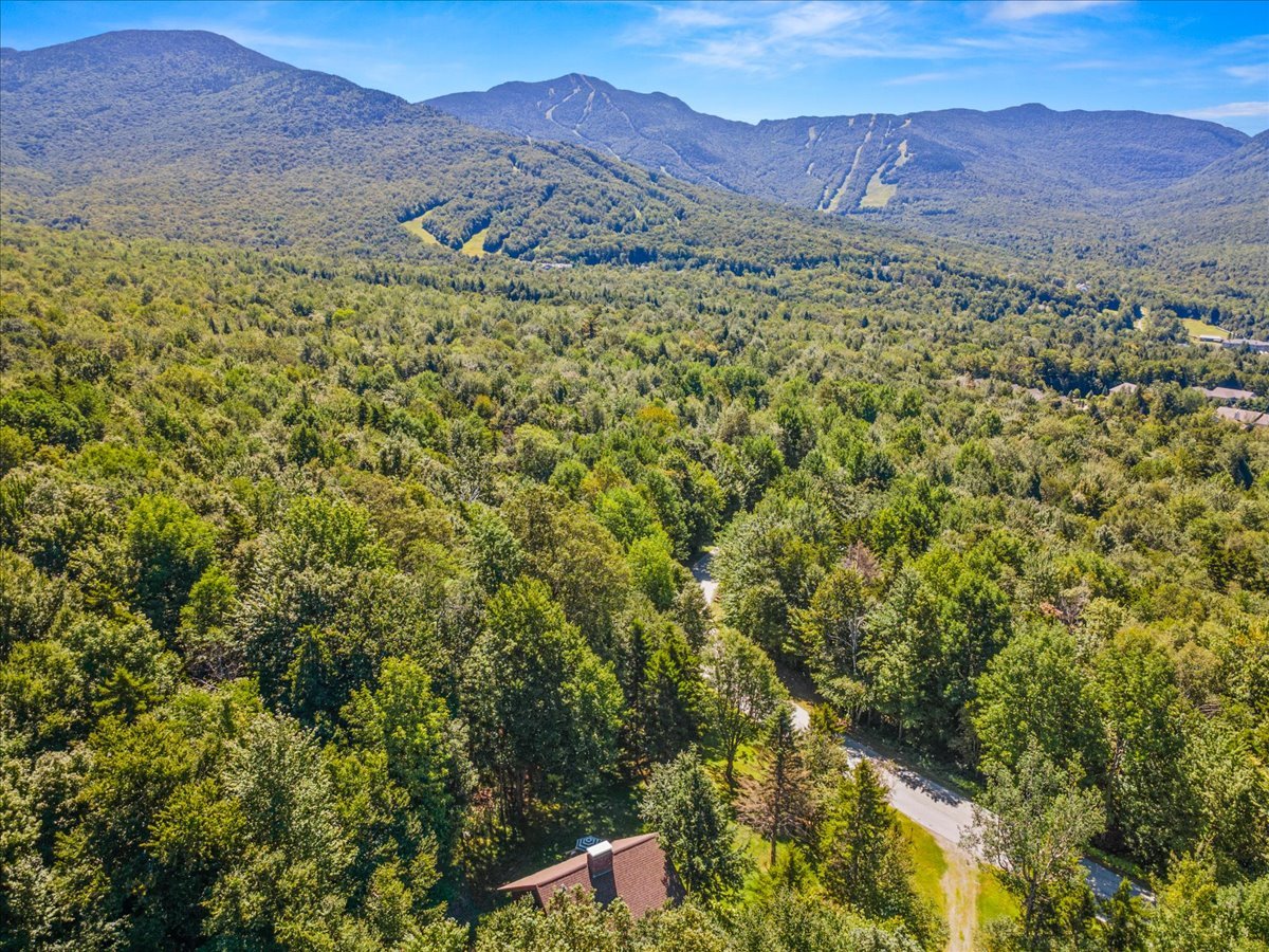 contact-form-background