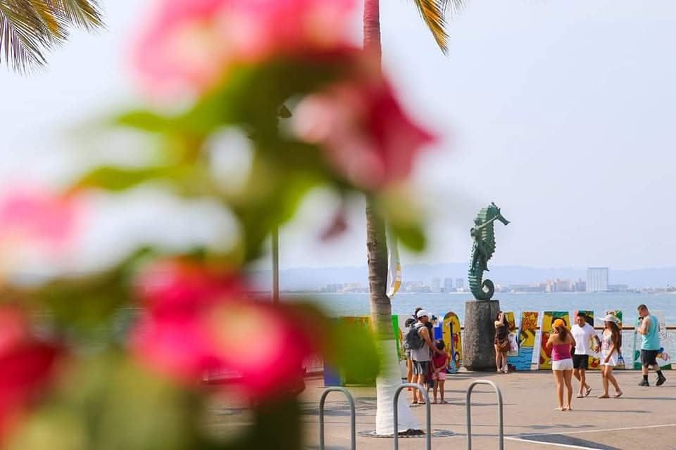 5 Hard Truths About Moving to Puerto Vallarta