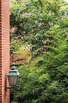 37 West 74th Street