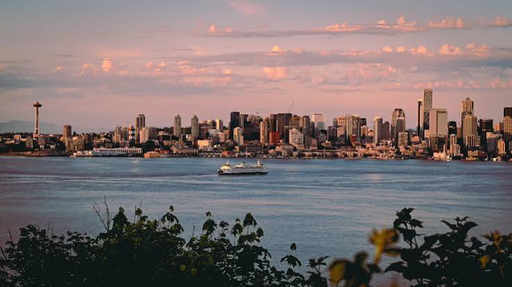 HAMILTON VIEWPOINT