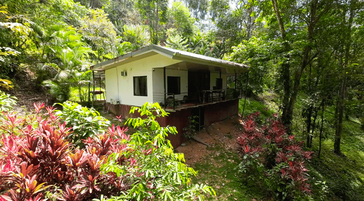 Multi-Home Income Estate Near Marino Ballena National Park