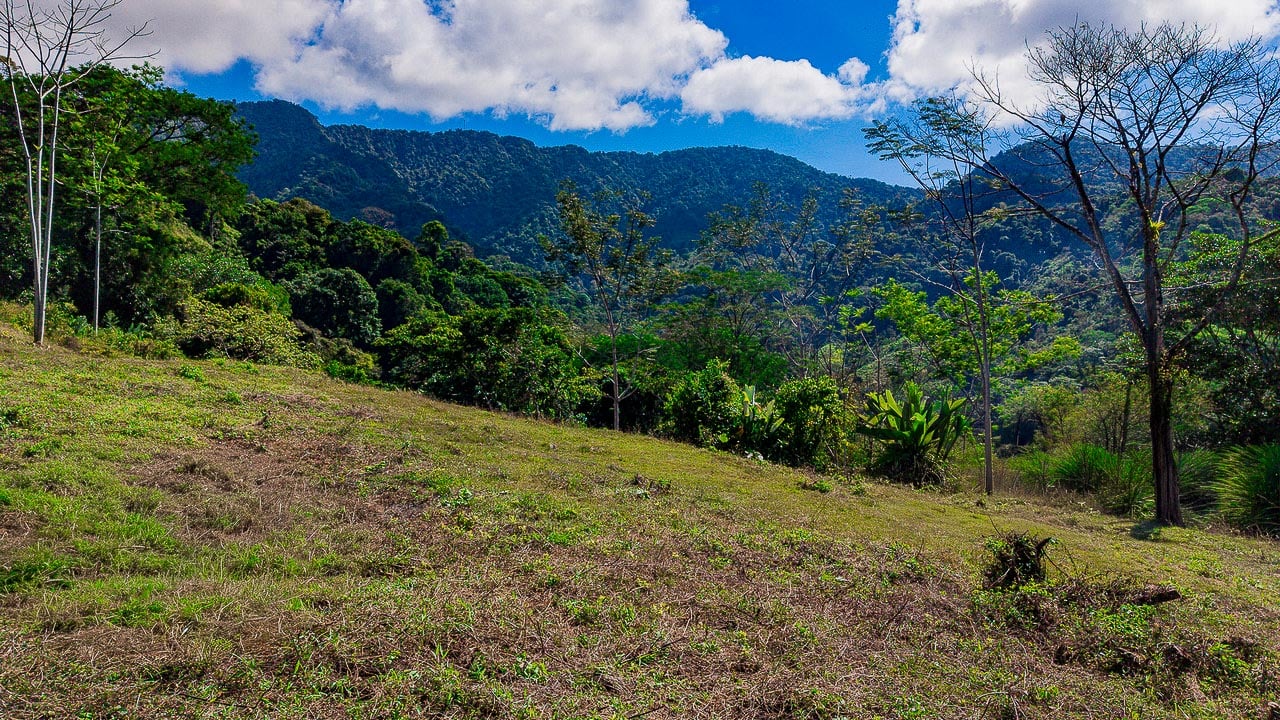 Whale Tail Views Luxury Waterfall Farm
