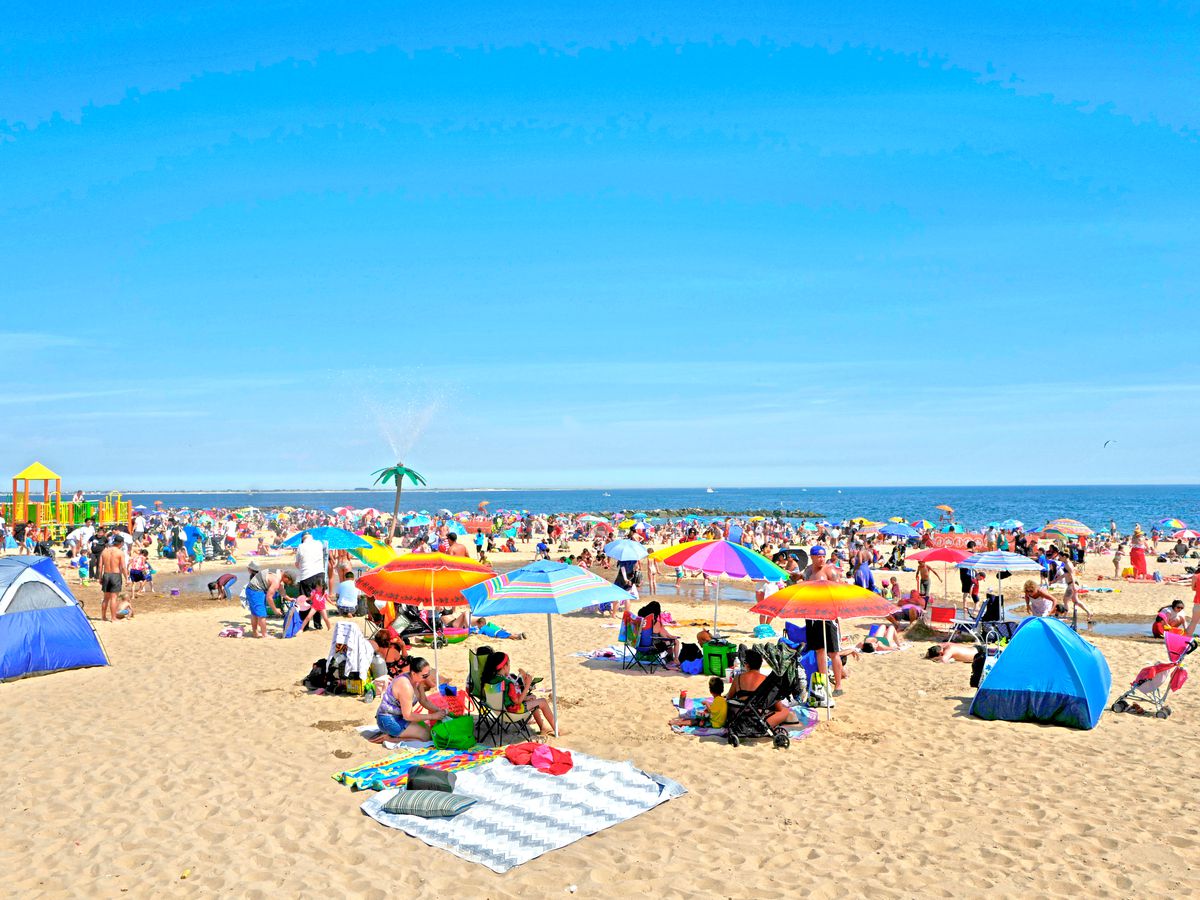 The Market Report: August 2025