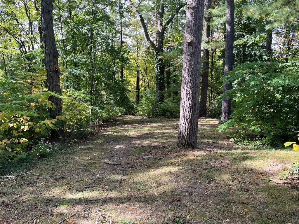Cayuga Heights Rd