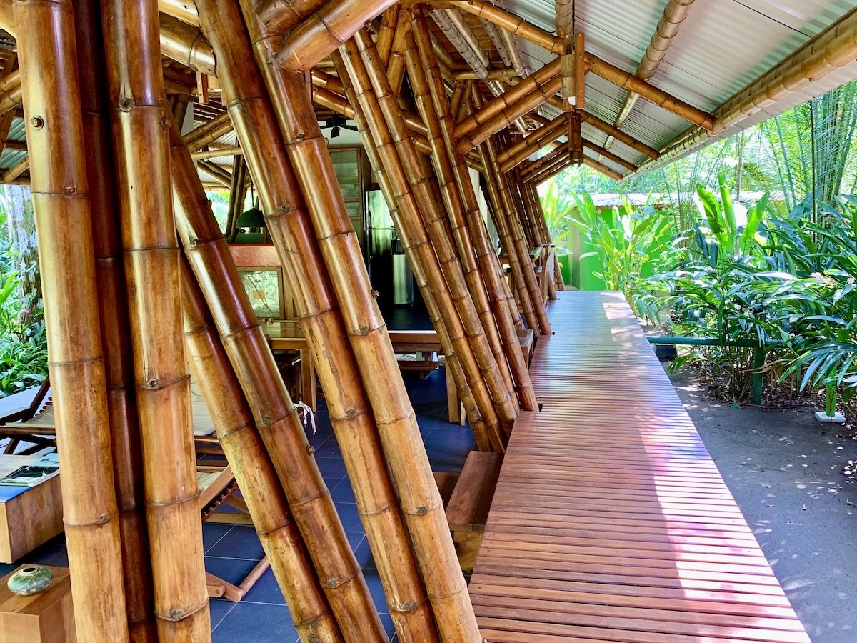 Jungle Beach Exotic Retreat