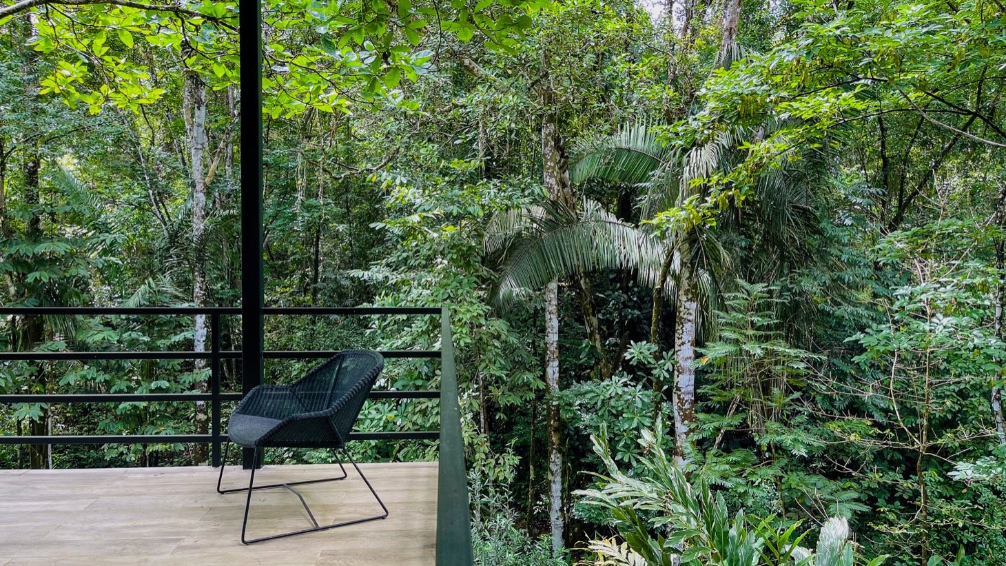 Modern House For Sale With Jungle View, Peaceful Stream, and Rental Cabins
