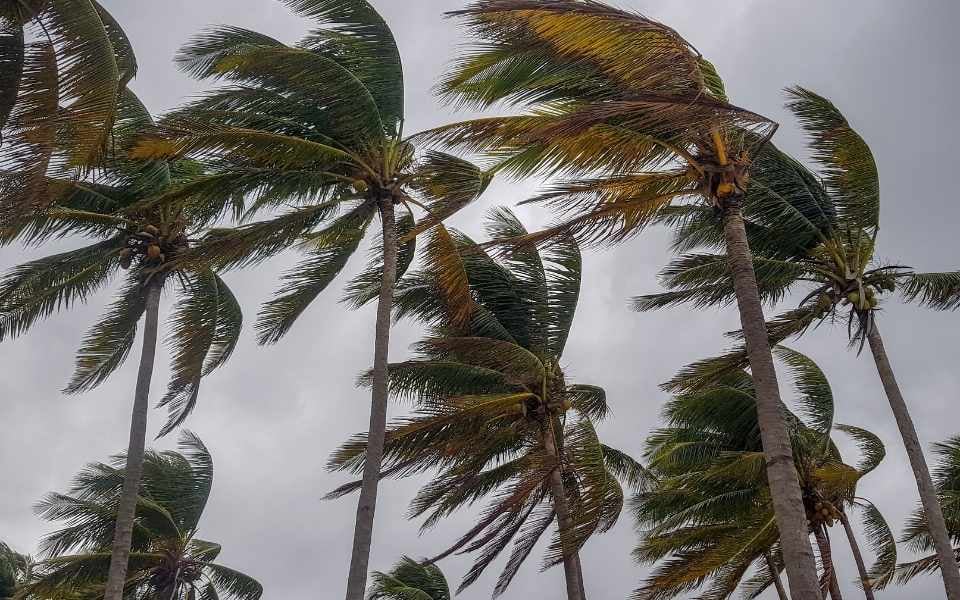 Pensacola Hurricane Preparedness for Homeowners: Must-Know Tips