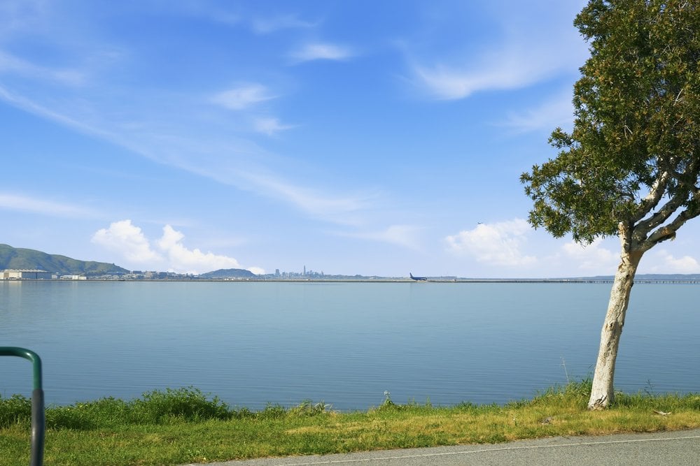 The Grove at Capuchino