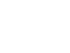 Light Logo