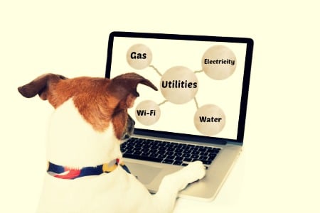 Business Services are Dedicated to Your Success