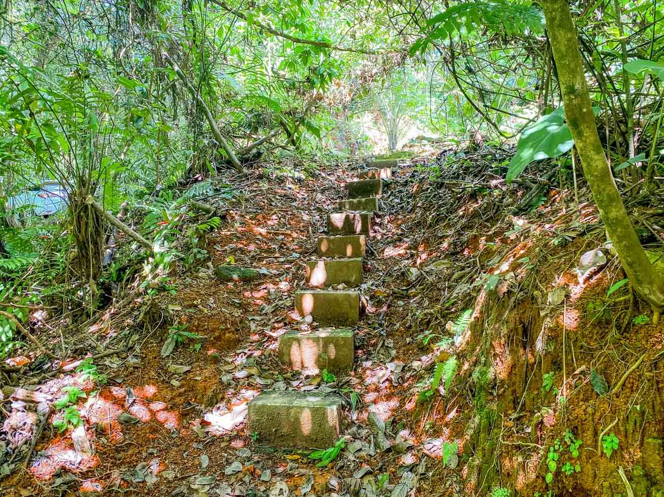 3 Bedroom Rainforest Home in Ojochal With River & Waterfall | 3.5 Acres Private