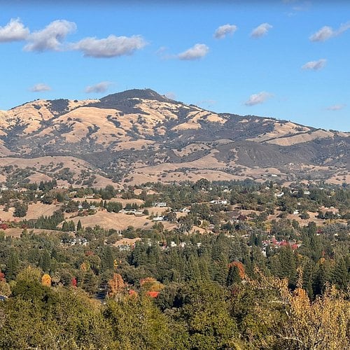 Danville
