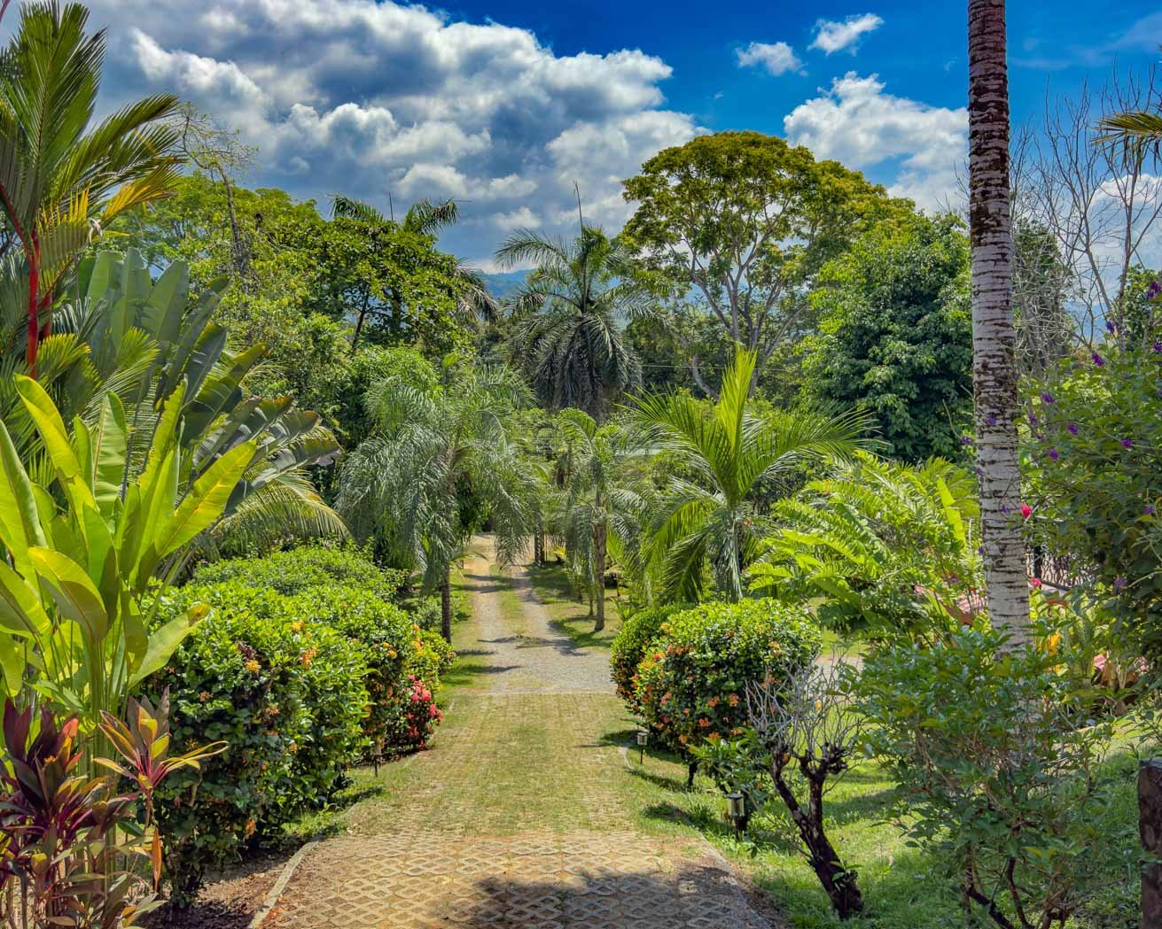 Ojochal Mountain View Home with Pool, Guest House & Gardens