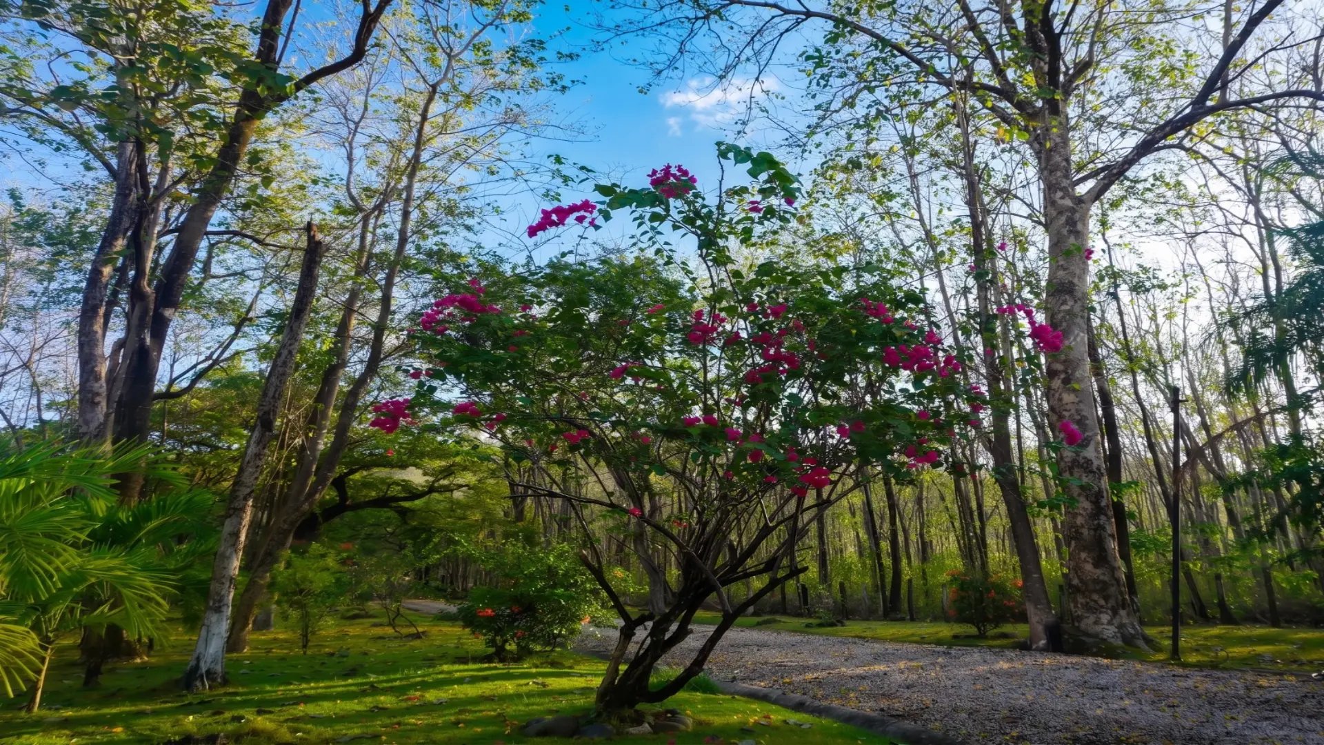 Las Melinas Sanctuary