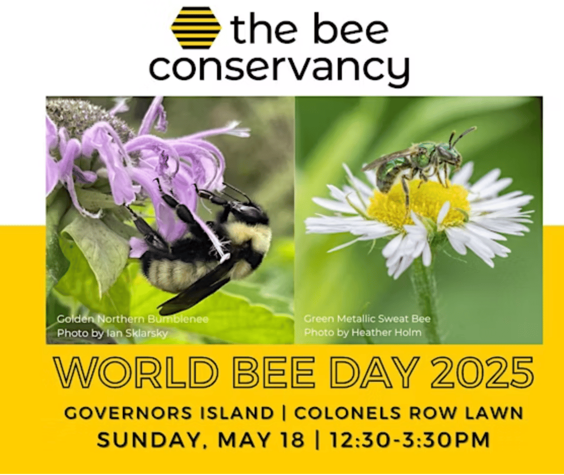 World Bee Day