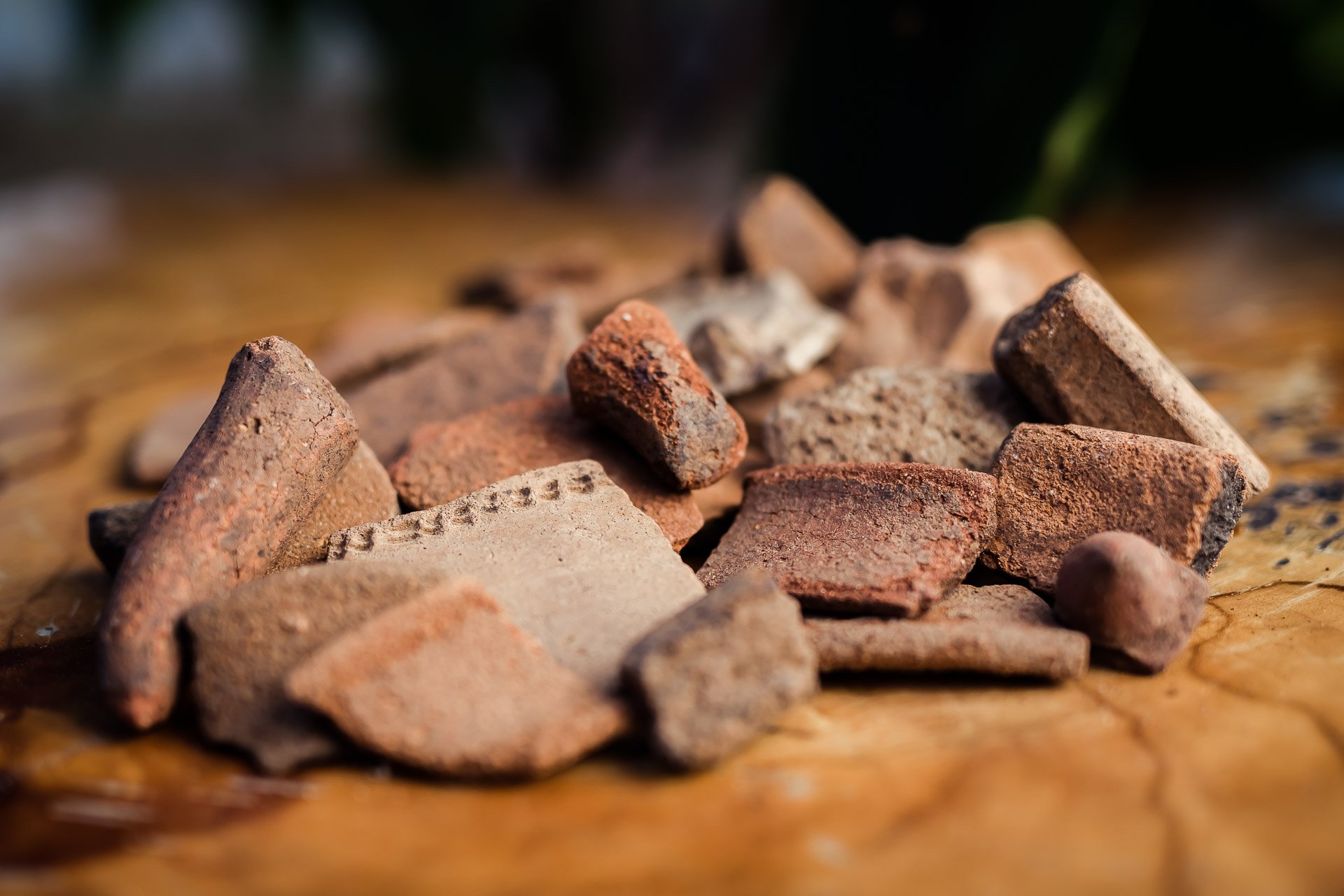 Blue Valley Cacao Farm | High-end gourmet chocolate production.
