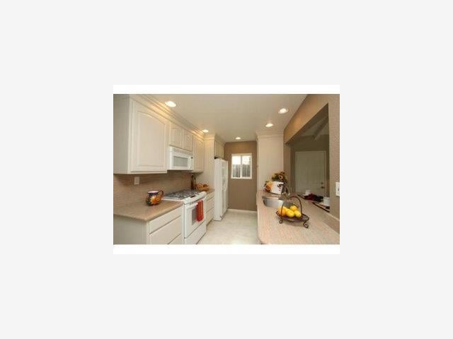 1140 Judson Drive