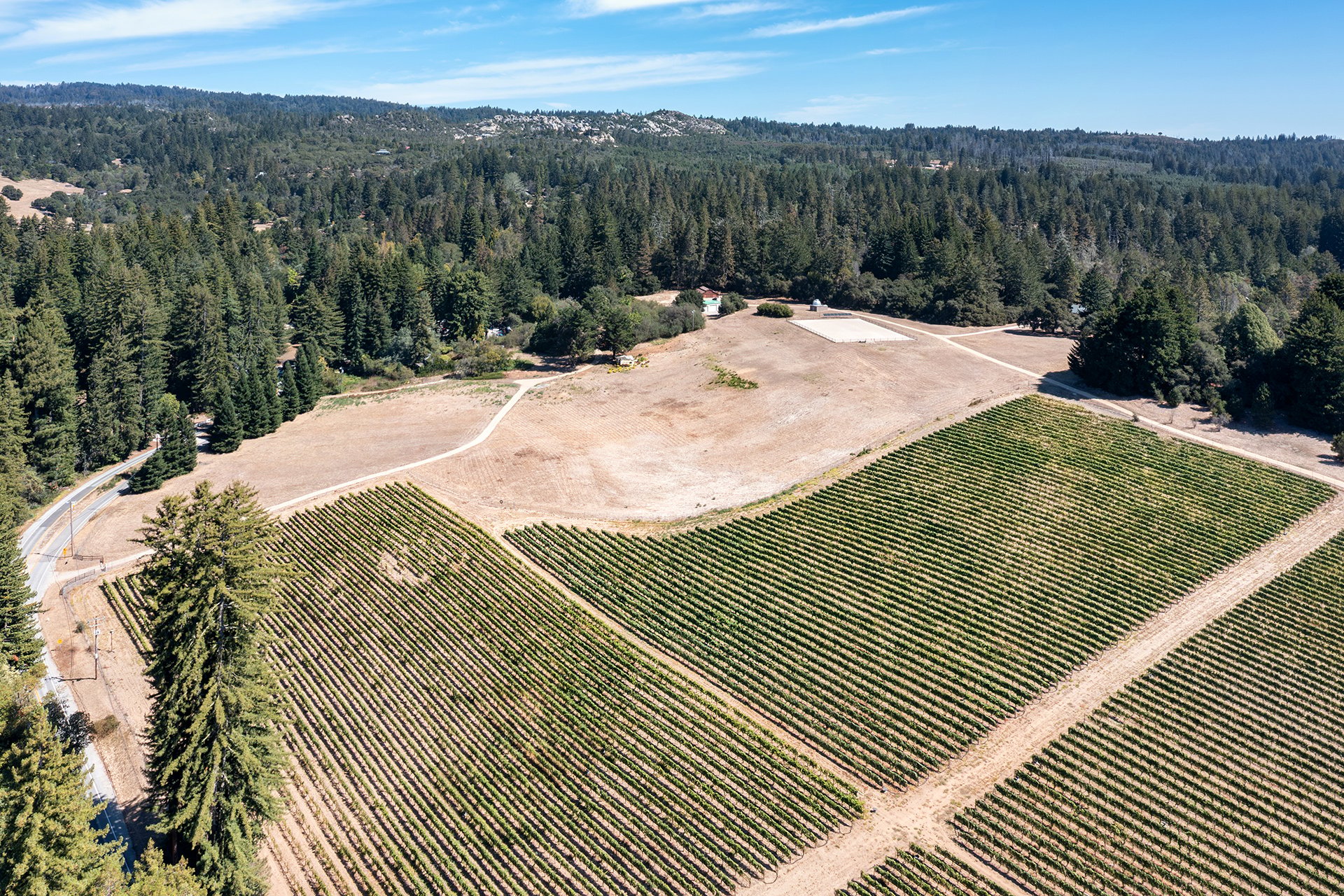 Santa Cruz Vineyard & Horse Property