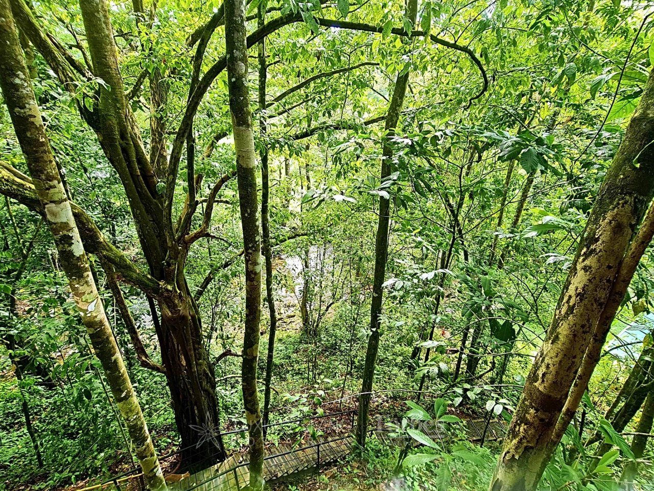 20391 - Property near the beach with hotel or private home potential