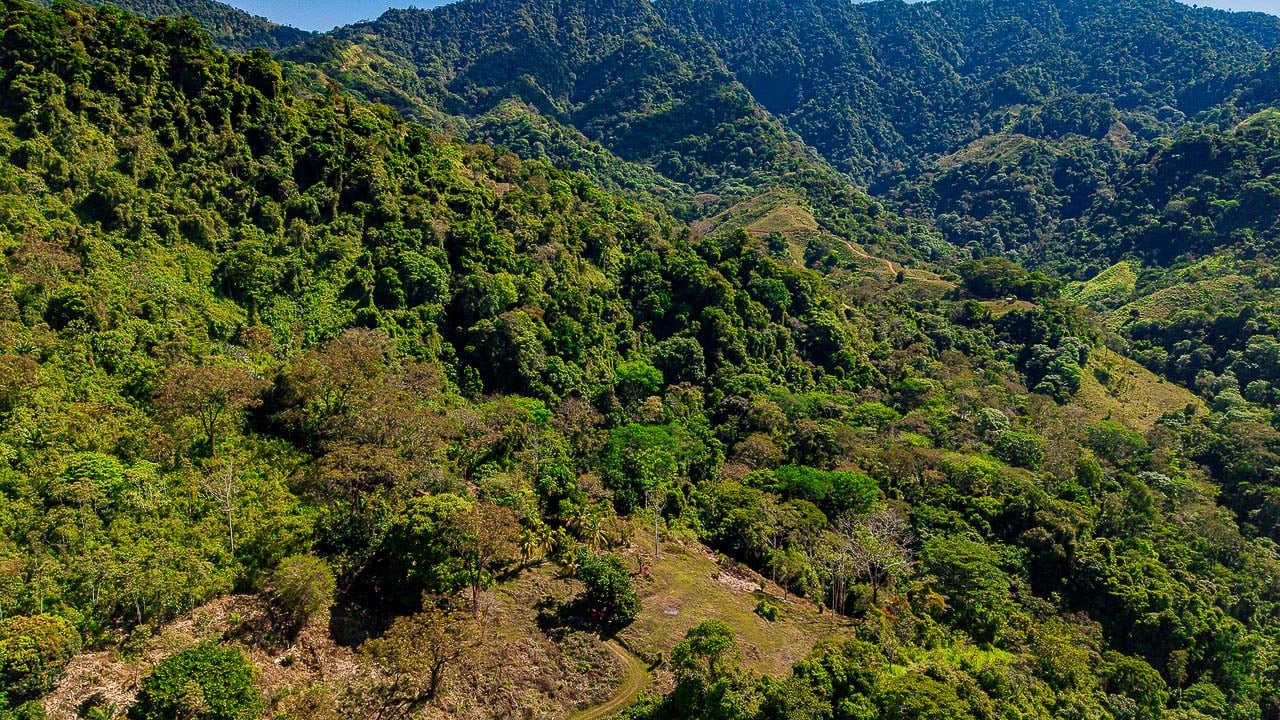 Whale Tail Views Luxury Waterfall Farm