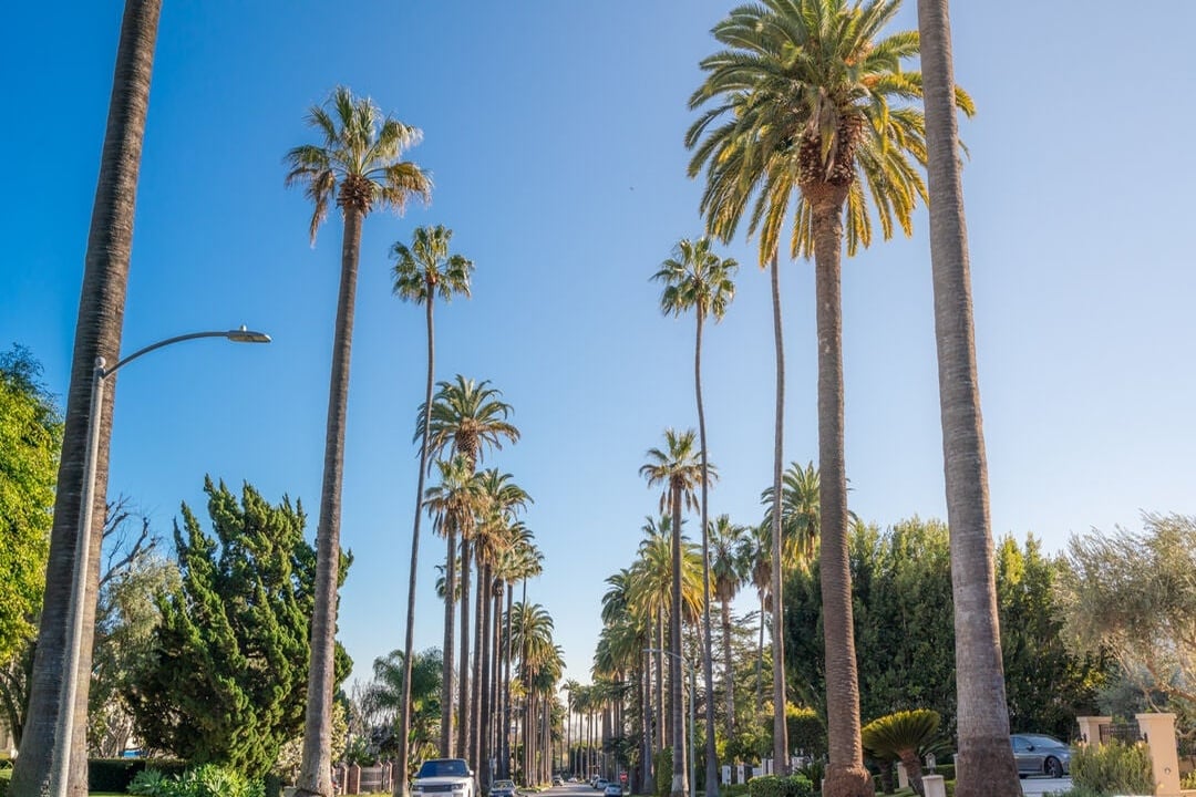 Silverreach Pavilion, N Hillcrest Rd, 90210