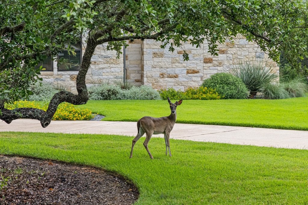 The Retreat at RiverForest